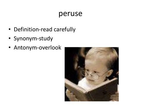 peruse definition synonym